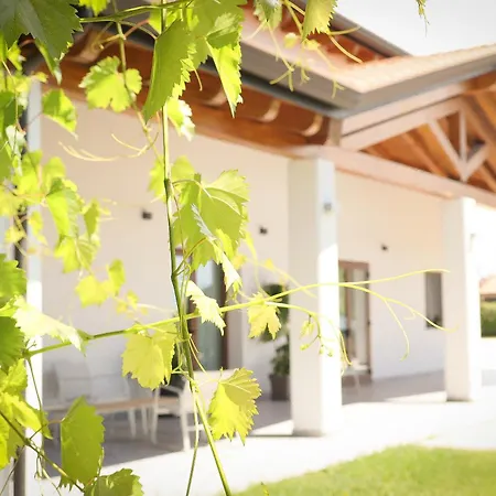 Tenuta Tommasi - Relais Bacco *