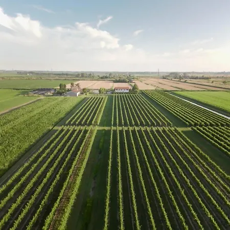 Tenuta Tommasi - Relais Bacco Hotel Caorle