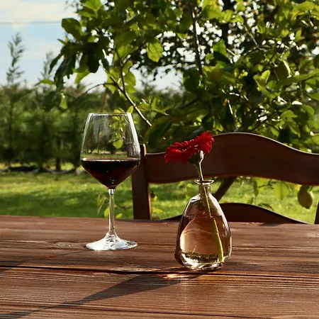 Tenuta Tommasi - Relais Bacco *