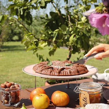 Hotel Tenuta Tommasi - Relais Bacco