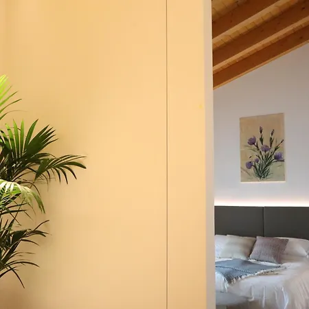Tenuta Tommasi - Relais Bacco Caorle